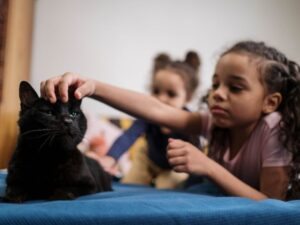 Segurança em ambientes de brincar